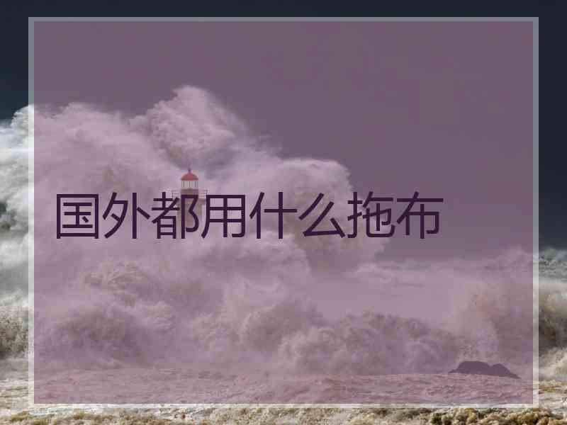 国外都用什么拖布