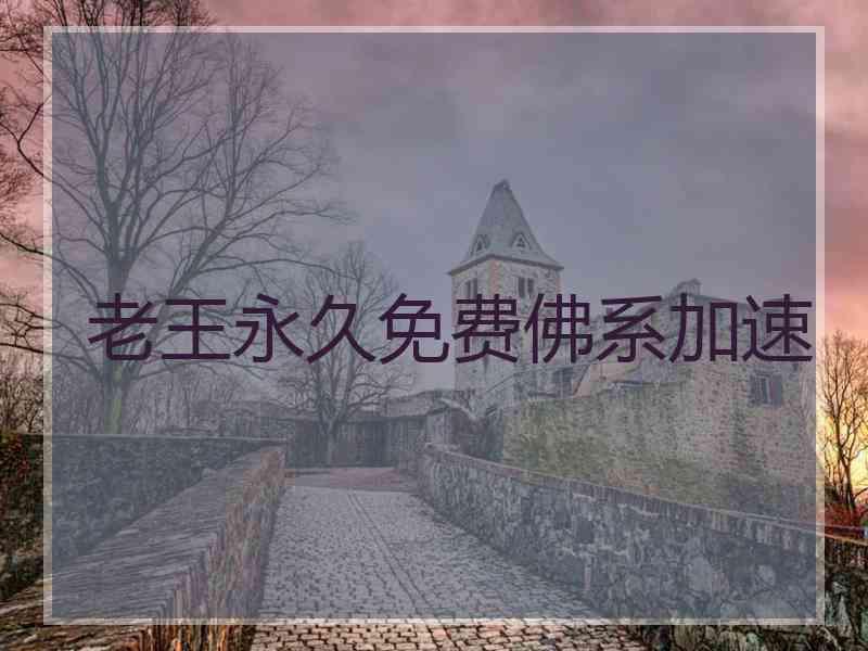 老王永久免费佛系加速