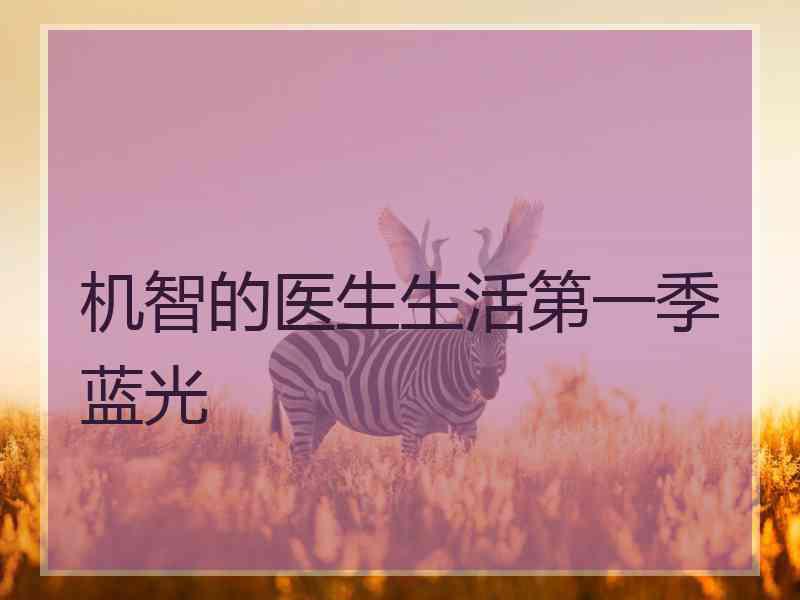 机智的医生生活第一季蓝光