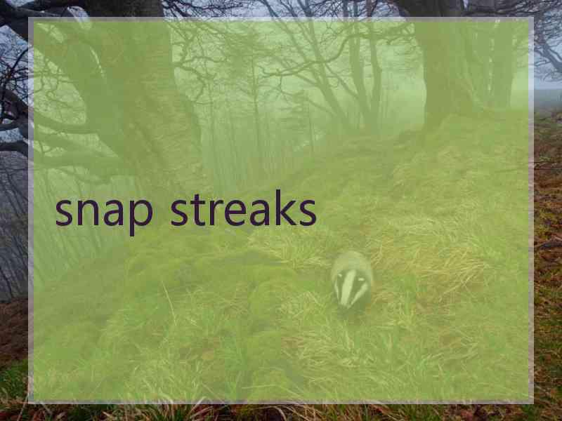 snap streaks