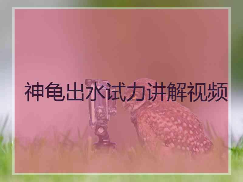 神龟出水试力讲解视频