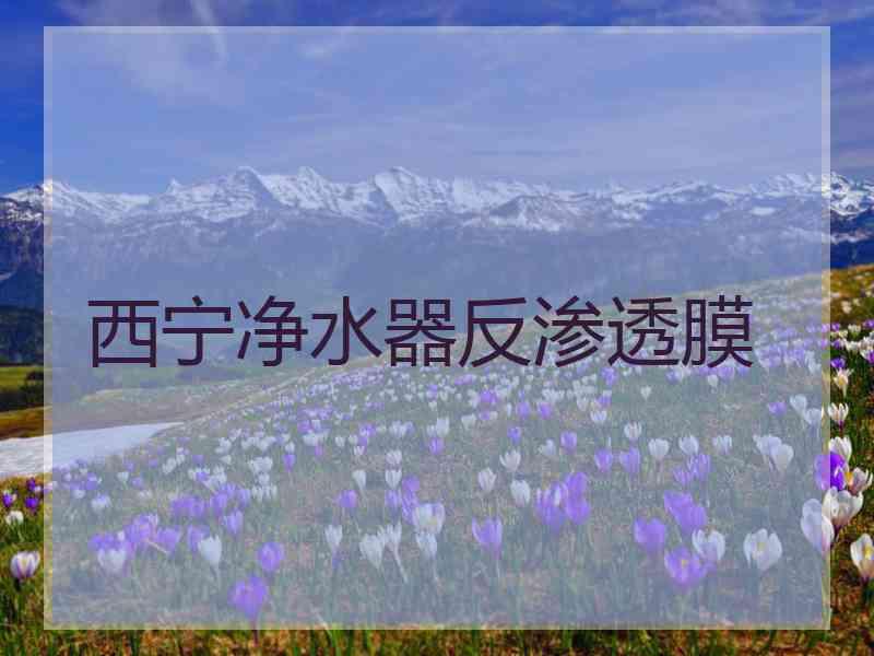 西宁净水器反渗透膜