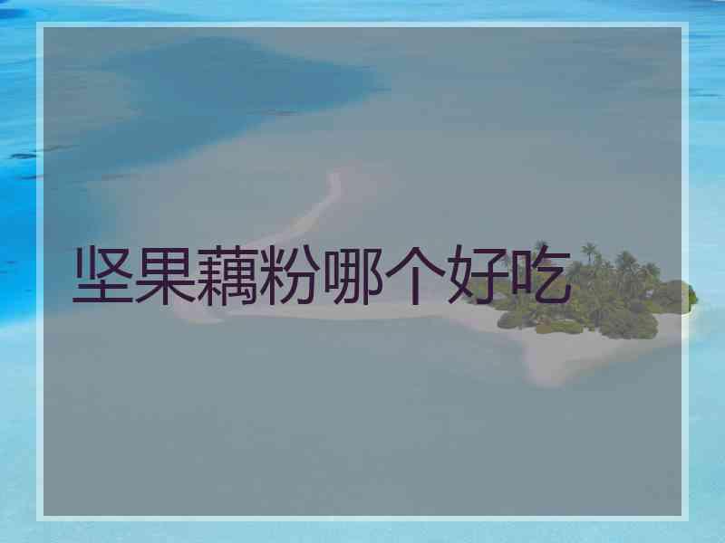 坚果藕粉哪个好吃