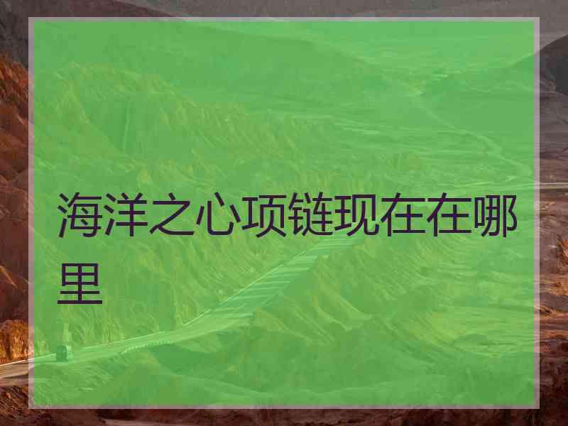 海洋之心项链现在在哪里