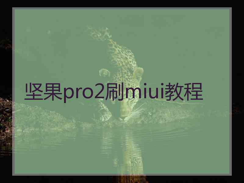 坚果pro2刷miui教程