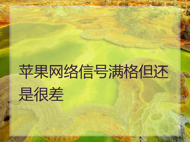 苹果网络信号满格但还是很差