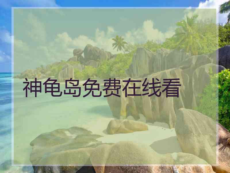 神龟岛免费在线看