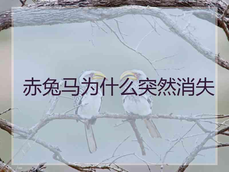 赤兔马为什么突然消失