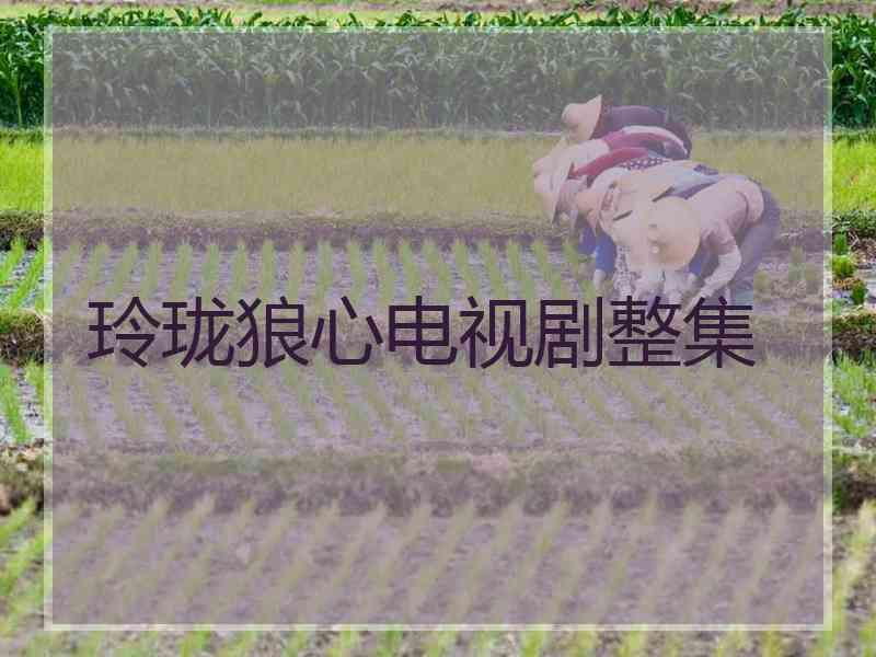 玲珑狼心电视剧整集