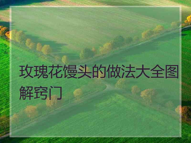 玫瑰花馒头的做法大全图解窍门