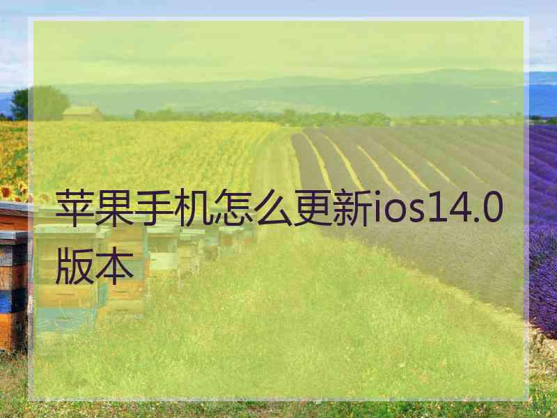 苹果手机怎么更新ios14.0版本