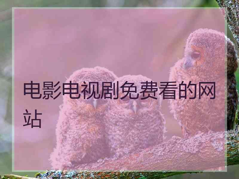 电影电视剧免费看的网站