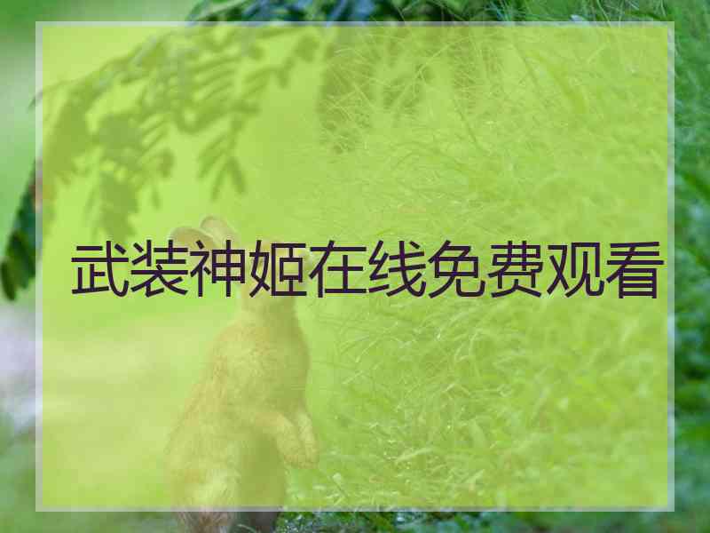 武装神姬在线免费观看