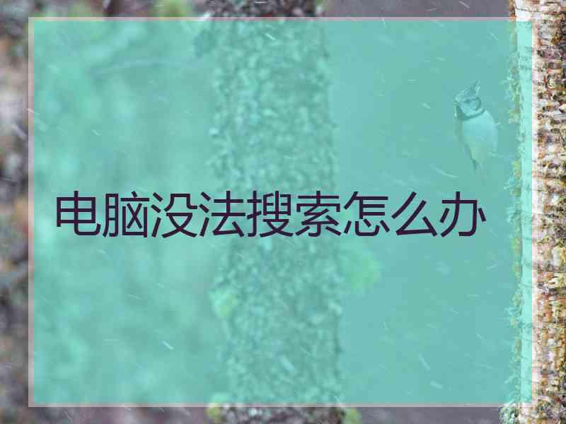 电脑没法搜索怎么办