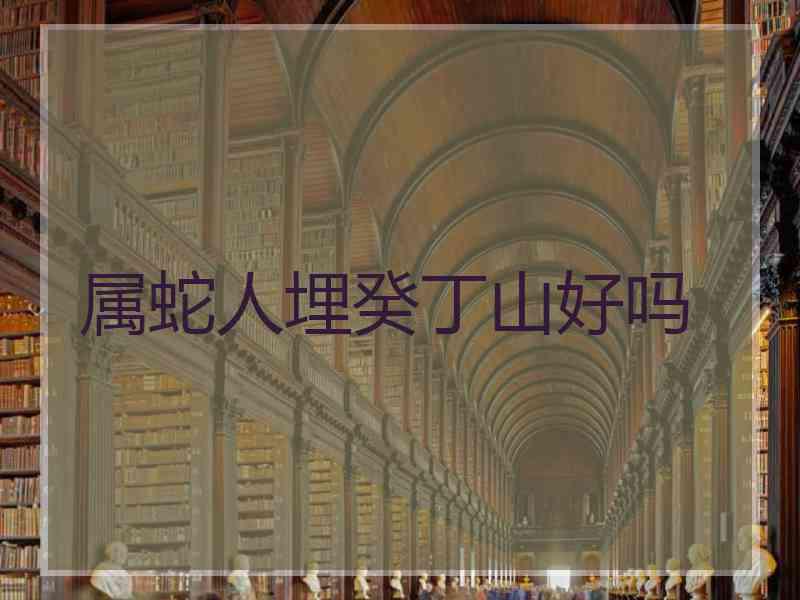 属蛇人埋癸丁山好吗