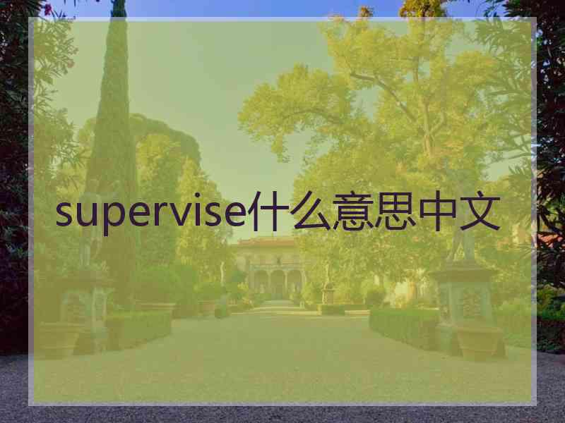 supervise什么意思中文