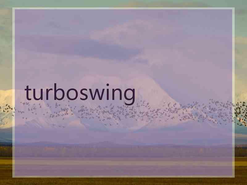 turboswing