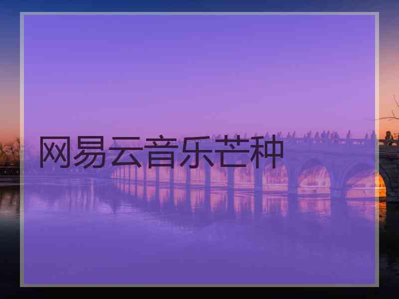 网易云音乐芒种