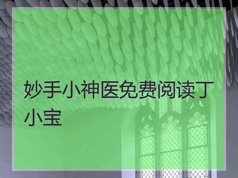 妙手小神医免费阅读丁小宝