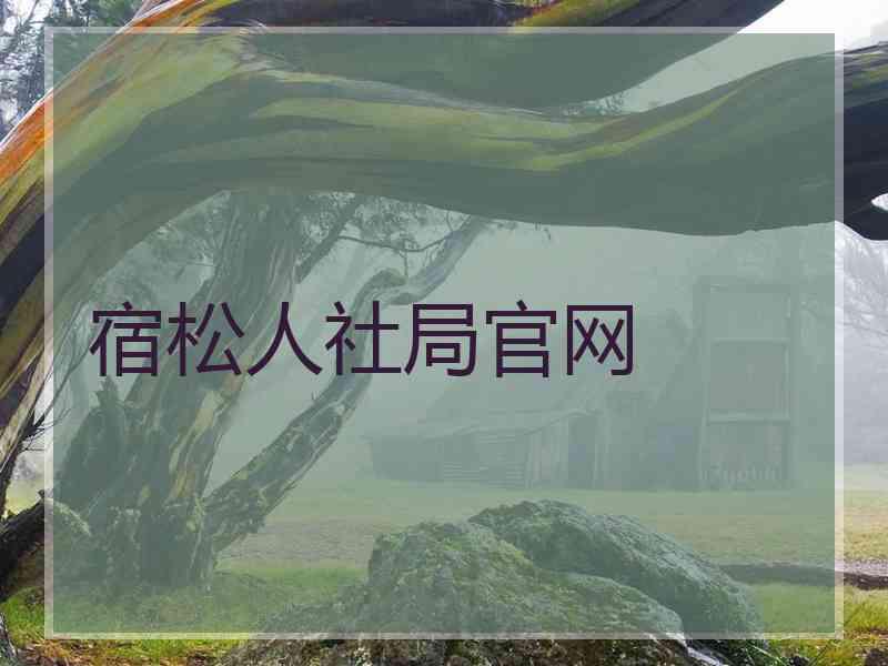 宿松人社局官网
