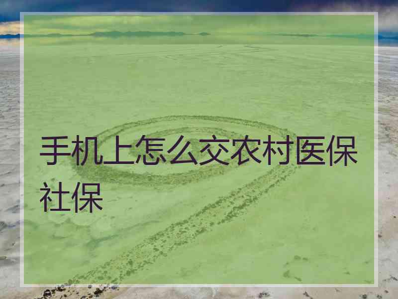 手机上怎么交农村医保社保