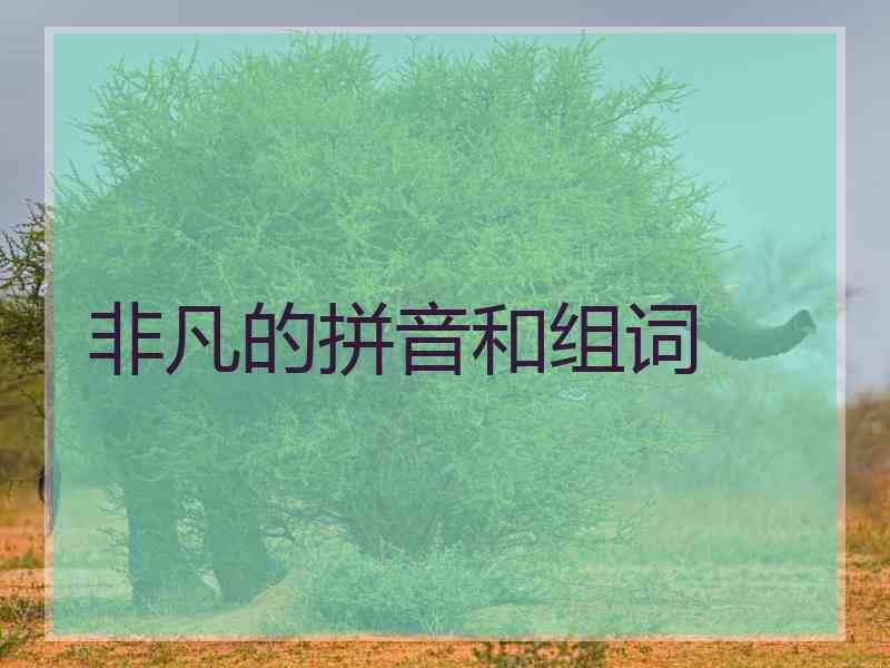 非凡的拼音和组词