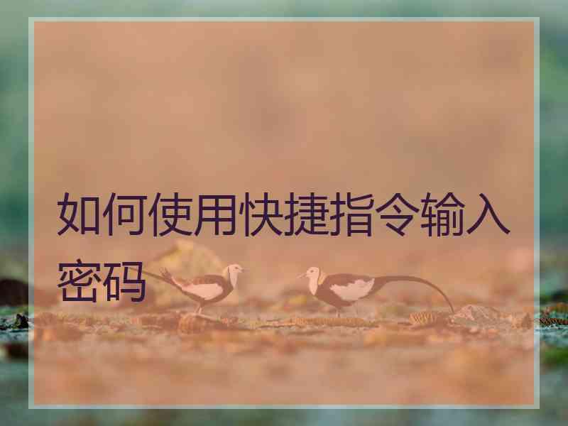 如何使用快捷指令输入密码