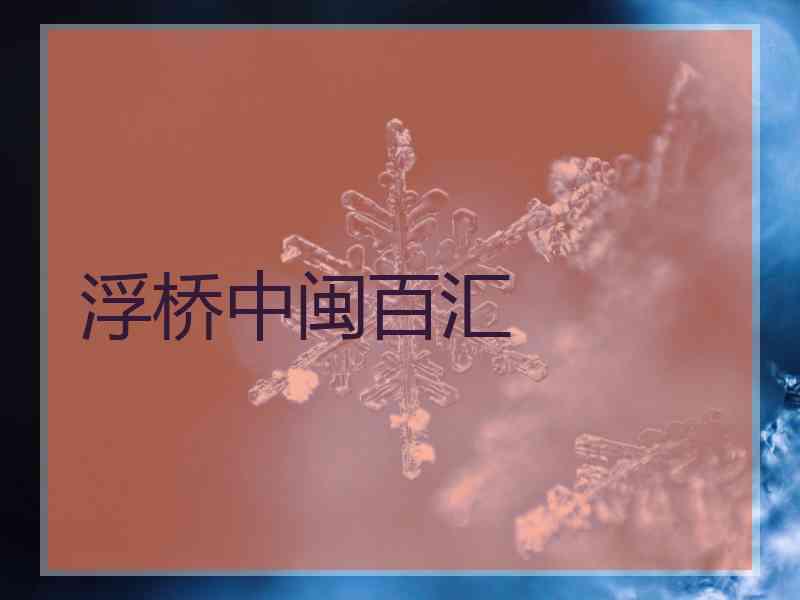 浮桥中闽百汇