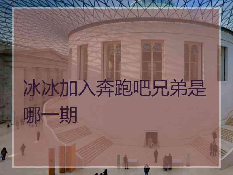 冰冰加入奔跑吧兄弟是哪一期