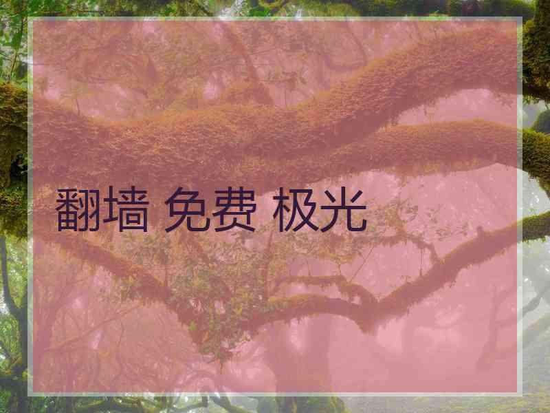翻墙 免费 极光