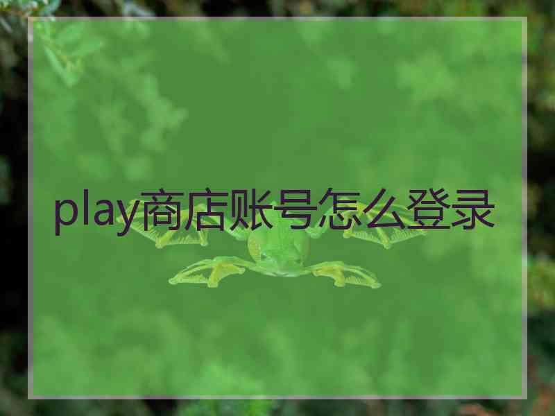 play商店账号怎么登录