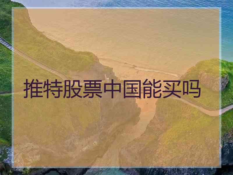 推特股票中国能买吗