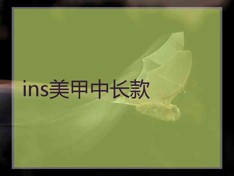 ins美甲中长款