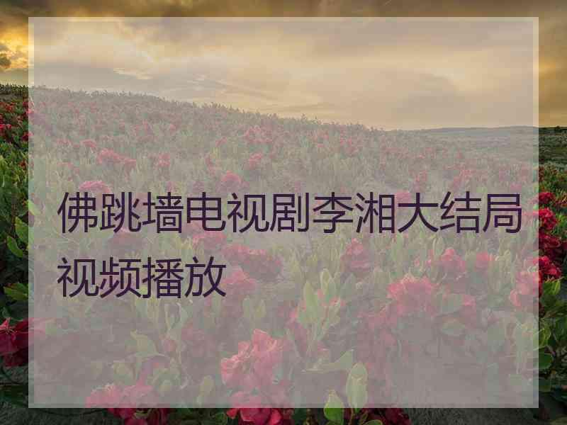 佛跳墙电视剧李湘大结局视频播放