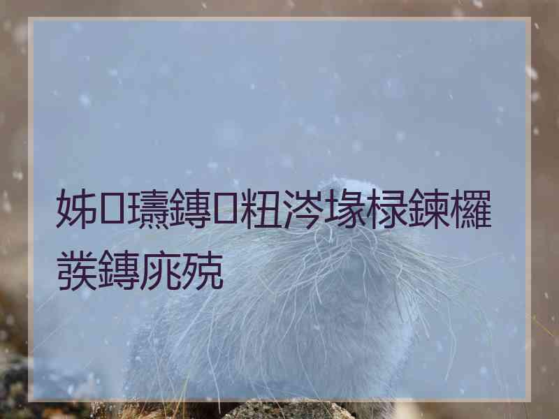 姊瓙鏄粈涔堟椂鍊欏彂鏄庣殑