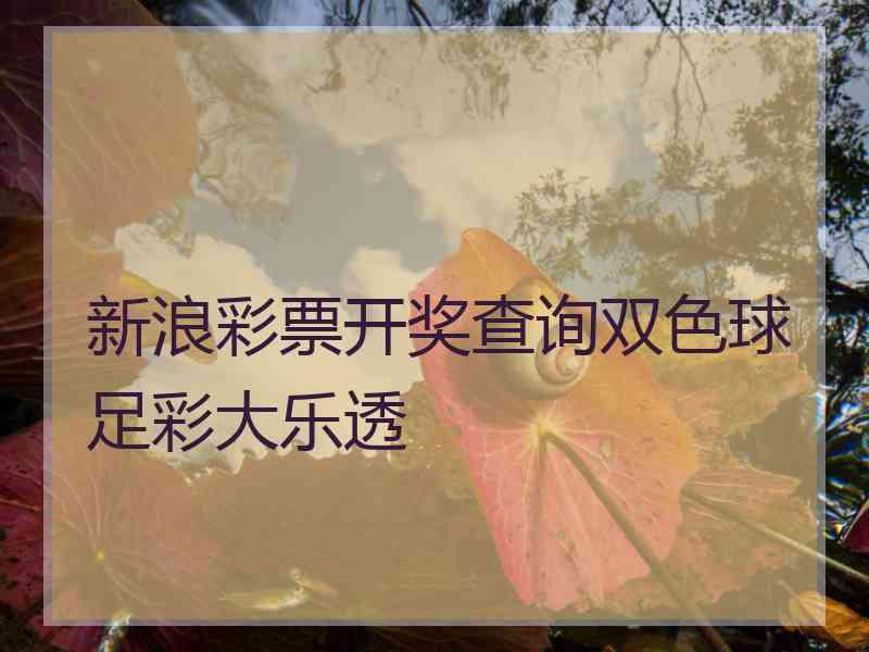 新浪彩票开奖查询双色球足彩大乐透
