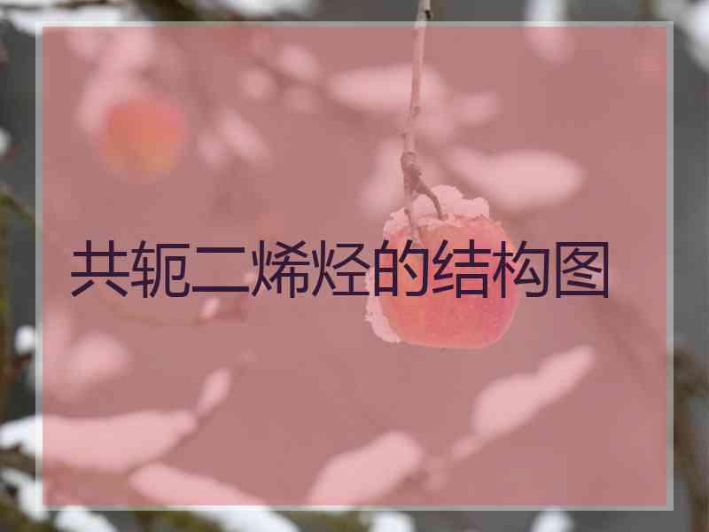 共轭二烯烃的结构图