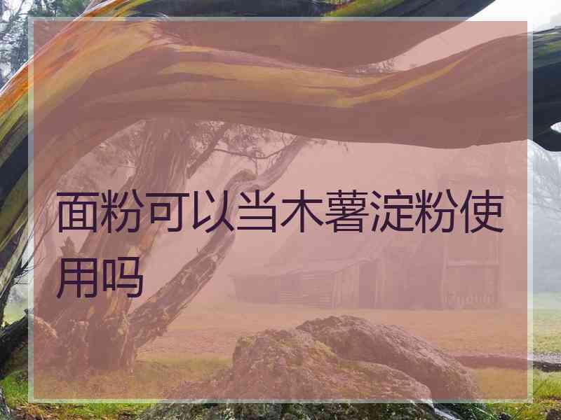 面粉可以当木薯淀粉使用吗