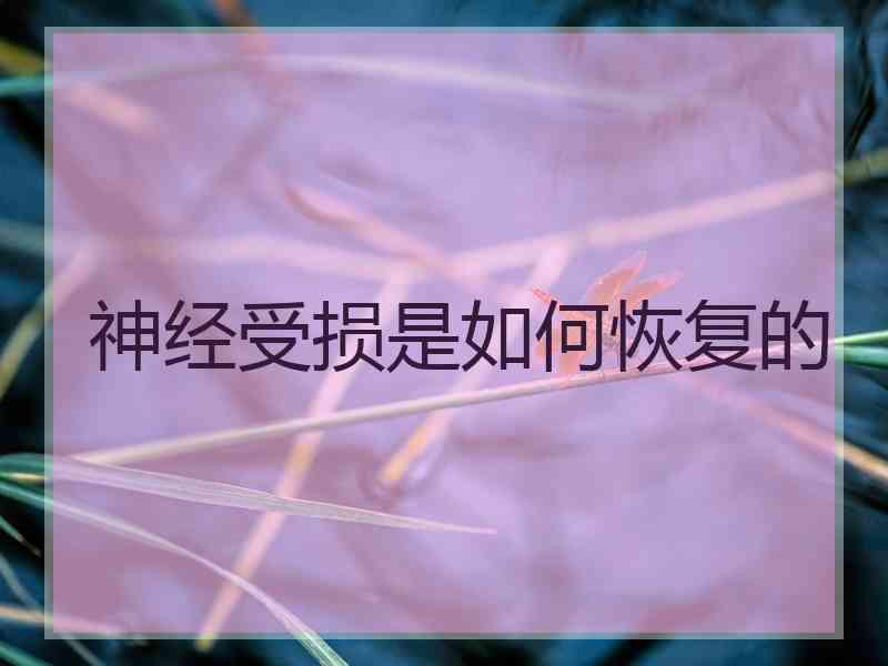 神经受损是如何恢复的
