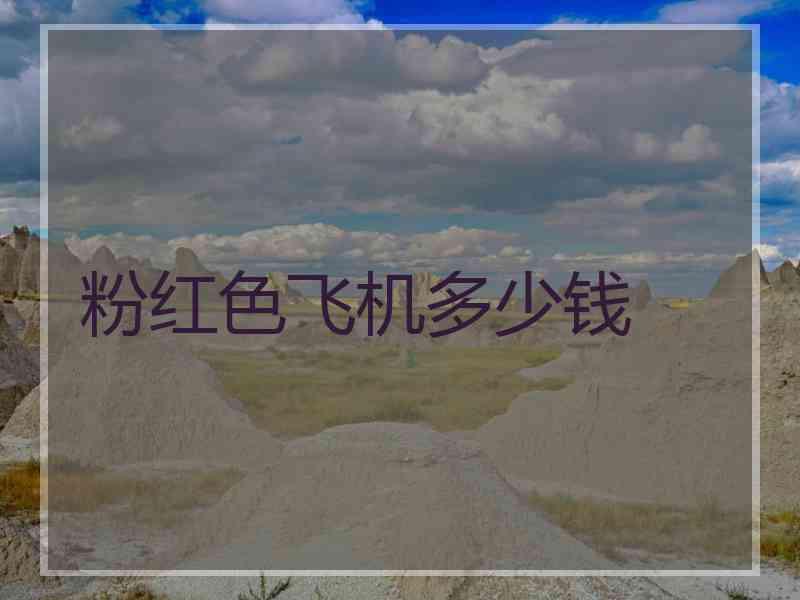 粉红色飞机多少钱