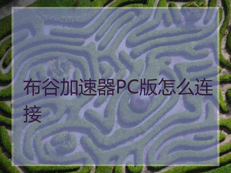布谷加速器PC版怎么连接