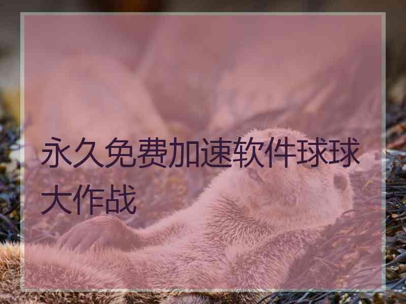 永久免费加速软件球球大作战
