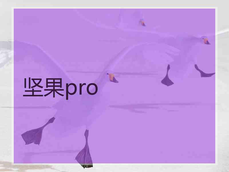 坚果pro