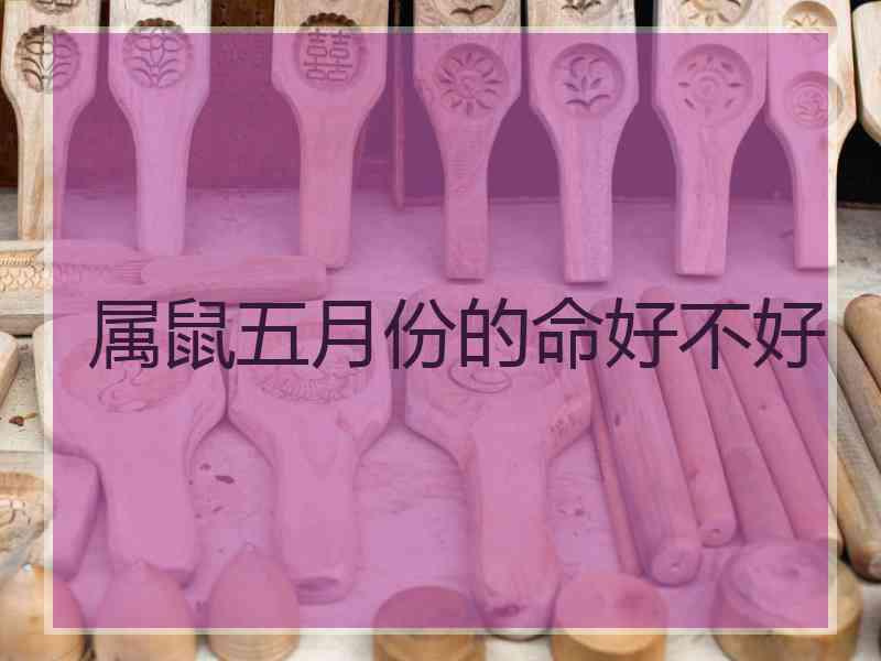 属鼠五月份的命好不好