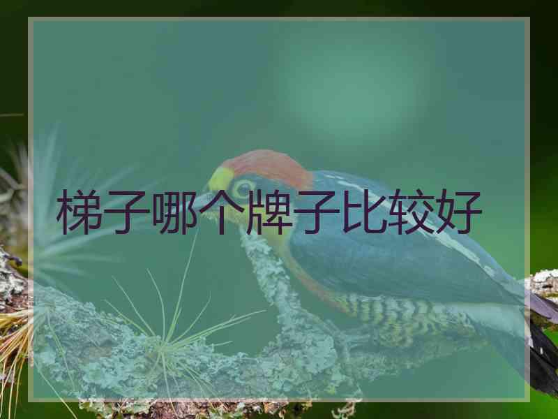 梯子哪个牌子比较好