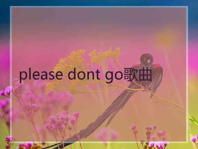 please dont go歌曲