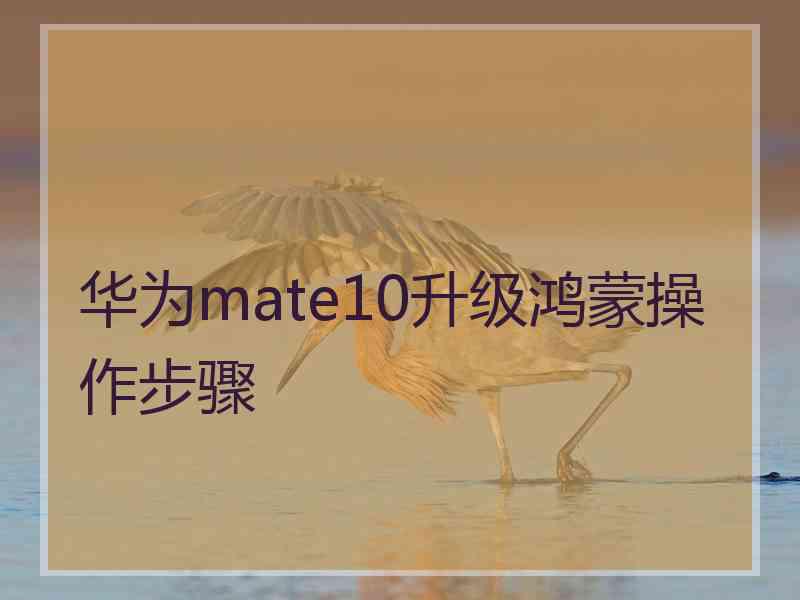 华为mate10升级鸿蒙操作步骤