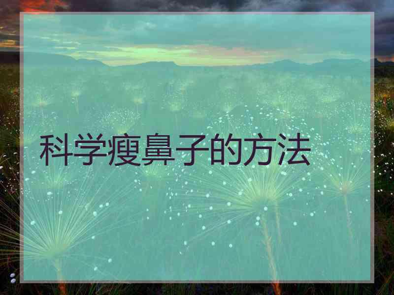 科学瘦鼻子的方法