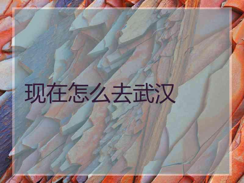 现在怎么去武汉