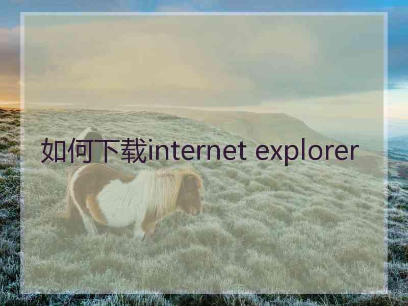 如何下载internet explorer